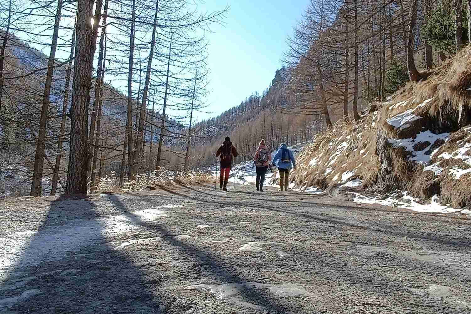Senza titolo 2 copia 2 0001 1675843427254