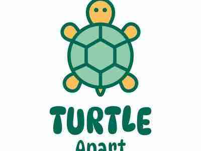 Turtle Apartment Boa Vista – appartamento fronte mare